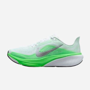 PEGASUS 42