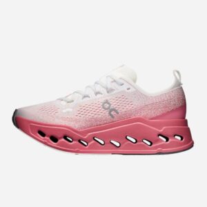 CLOUDSURFER MAX 1