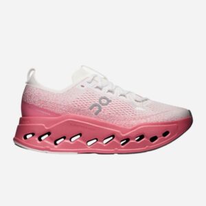 CLOUDSURFER MAX 1